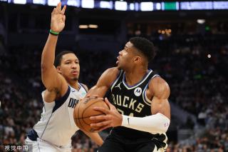 但勒沃库森 但勒沃库森